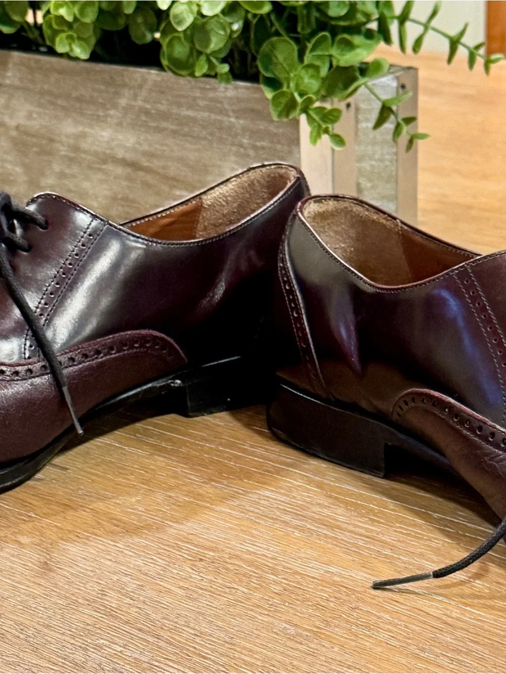 Men's Mezlan Tyson II Cap-Toe Oxford Dress Shoes in Burgundy